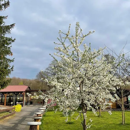 Κατάλυμα σε φάρμα Przystan Korona Nad Jeziorem Radun