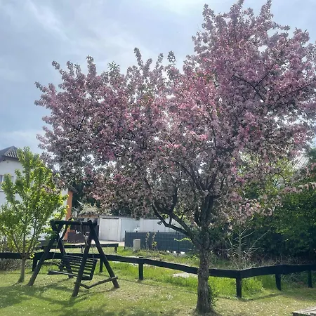 Agroturismo Przystan Korona Nad Jeziorem Radun
